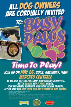 Busy Paws Do Happy Dogs Make