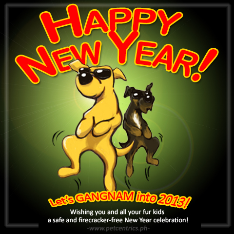 Happy New Year! Let’s Gangnam into 2013!