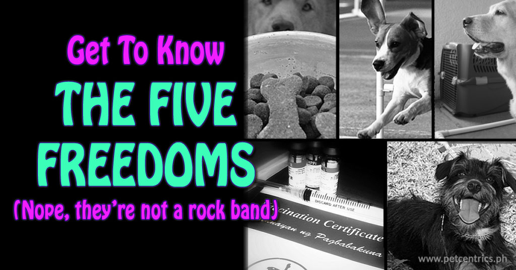 Get To Know The Five Freedoms