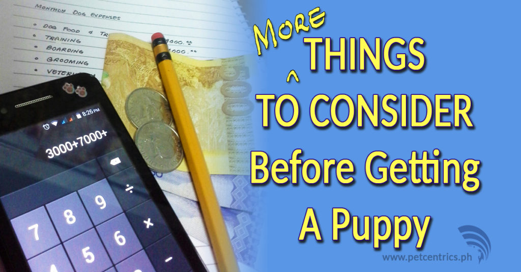 More Things To Consider Before Getting A Puppy