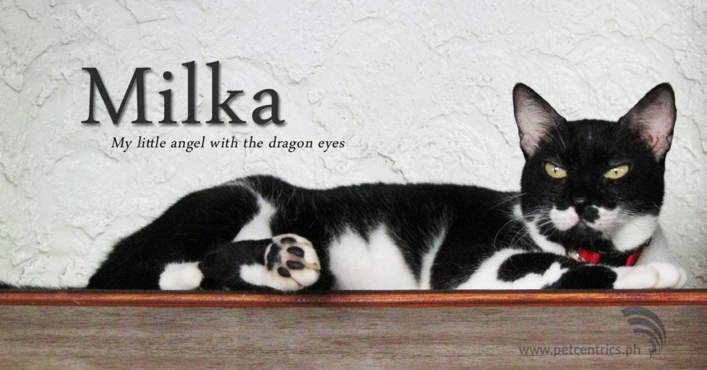 Remembering Milka