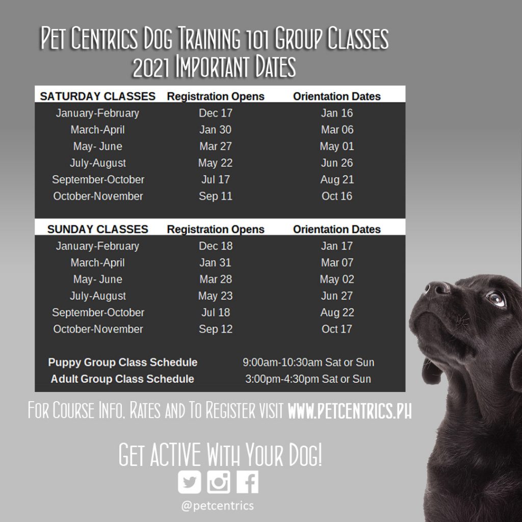 Pet Centrics Dog Training 101 Group Class Schedules 2021