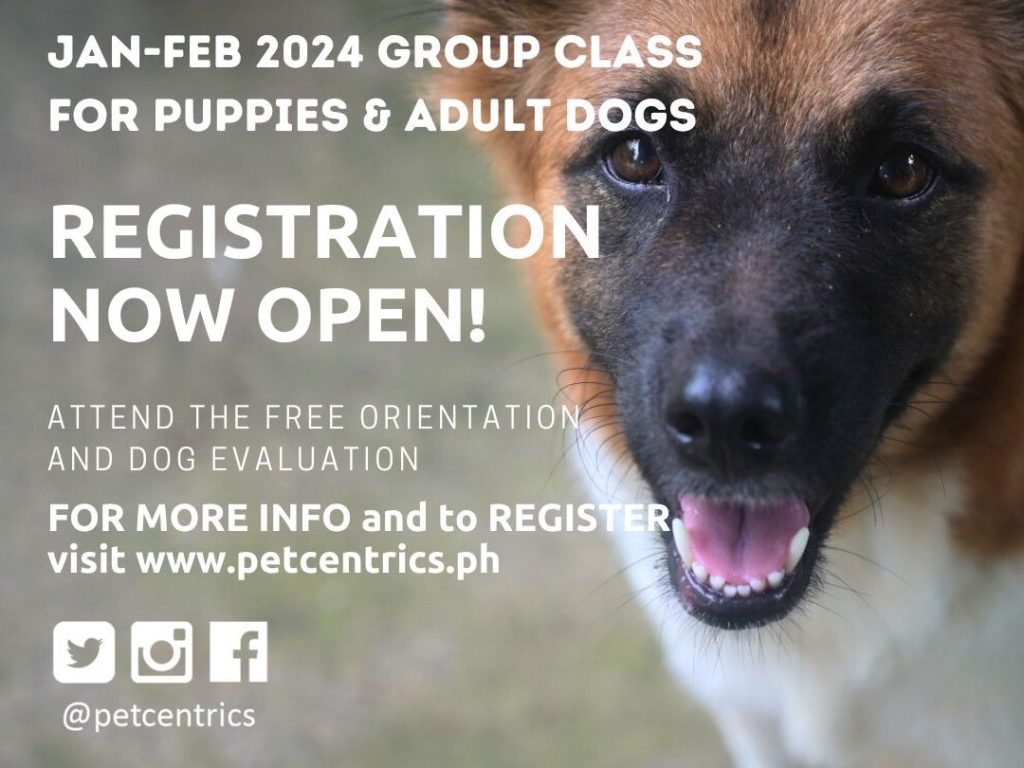 Pet Centrics Dog Training 101 JAN-FEB 2024 GROUP CLASSES: NOW OPEN FOR REGISTRATION!