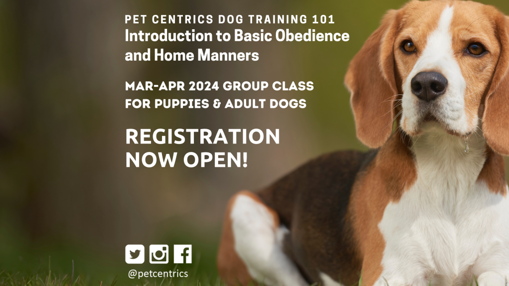 Pet Centrics Dog Training 101 MAR-APR 2024 GROUP CLASSES: NOW OPEN FOR REGISTRATION!